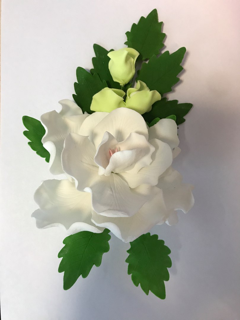 картинка Букет сахарный белый пион, длина ветки 25 см от магазина Одежда-