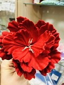 Сахарный цветок Пион из мастики красный, диаметр цветка 8-9 см