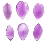 Набор вайнеров "Лепесток" 6 шт