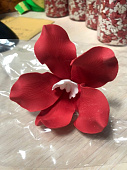 Сахарный цветок Орхидея из мастики красная, длина цветка 8-9 см