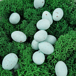 Драже "Яйца" (бирюзовые матовые в крапинку) 0,5 кг 101031