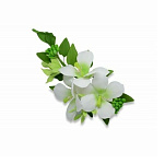 Букет сахарный Иланг-иланг с жасмином, длина ветки 25 см