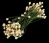 Тычинки желтые 3 мм 80 шт 209-5